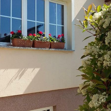 Apartments Place4You Bjelovar Luaran gambar